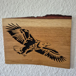 Adler Eiche