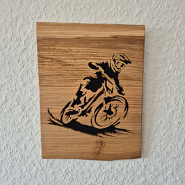 Downhill/Motocross