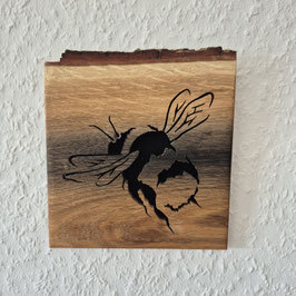 Hummel Eiche
