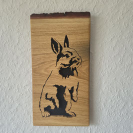 Kaninchen Eiche