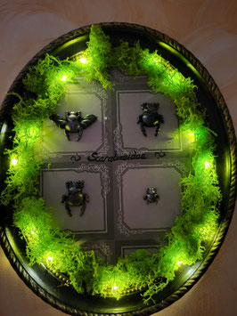 Cadre lumineux "Cabinet de curiosités"