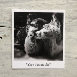 Fotokarte "IN THE AIR"