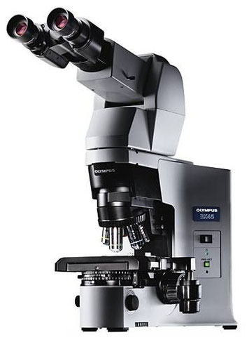 Maintenance microscope par Claude Gonon Microscopie