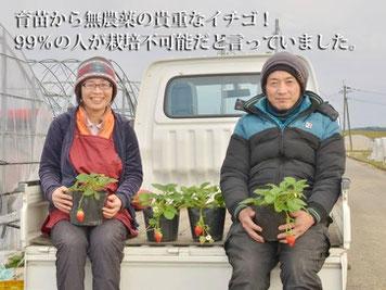 苺の苗を持って微笑む楠田大伸さんと黒田智子さん