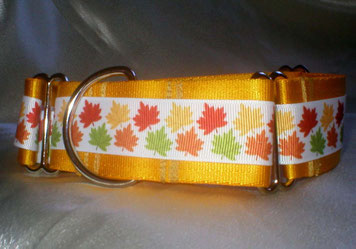 Martingale, Halsband, 4cm, Gurtband sonnengelb, Borte mit buntem Laub