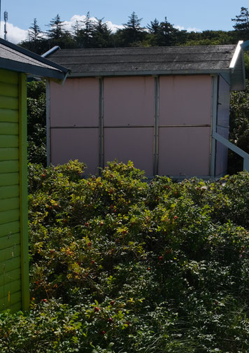 peinture écologique bois extérieur