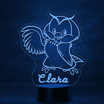 Kleine Eule Clever 3D 2D Led Lampen Geschenke für Hochzeit Geburtstag Kinder Taufe Nachtlicht personalisierte Fotogravur Fotogeschenke