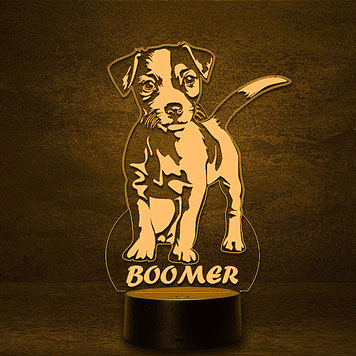 Jack Russel Terrier Dog Hund 3D 2D Led Lampen Geschenke für Hochzeit Geburtstag Kinder Taufe Nachtlicht personalisierte Fotogravur Fotogeschenke