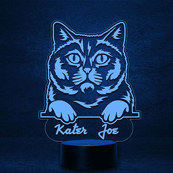 Britisch Kurzhaar Katze Personalisierte 3D 2D Led Geschenk Lampe Kinder Geburtstag Hochzeit Muttertag  Partner Familie Freunde Geburt Nachtlicht Schlummerlicht personalisiert mit Namen