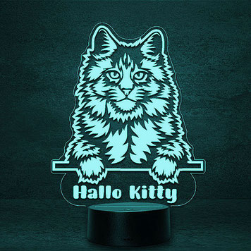 Main Coon Katze Cat 3D 2D Led Lampen Geschenke für Hochzeit Geburtstag Kinder Taufe Nachtlicht personalisierte Fotogravur Fotogeschenke led lights