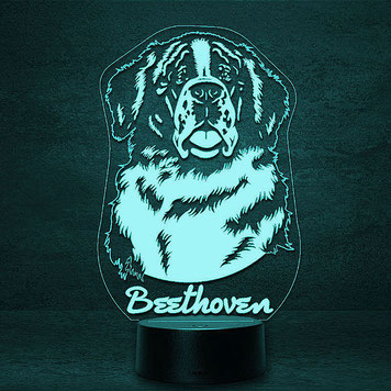 Bernhardiner Hund  3D 2D Led Lampen Geschenke für Hochzeit Geburtstag Kinder Taufe Nachtlicht personalisierte Fotogravur Fotogeschenke led light