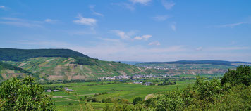 Schöner Blick auf das Moseltal oberhalb von Wintrich