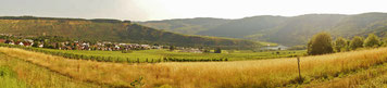 Panoramaaufnahme: Moseltal bei Mehring