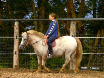 Pony reiten, Ramsau