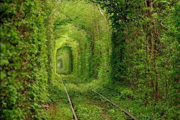 Tunnel of Love in Klevan Ukraine