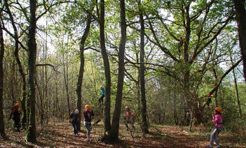 Les Tas De Nature, animation de groupe, bois de Sauvagnon