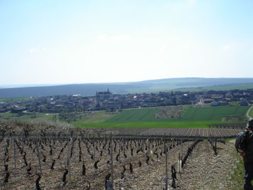 Coulanges La Vineuse
