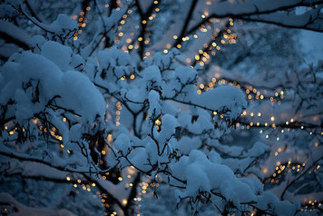 Happy-New-Year-9