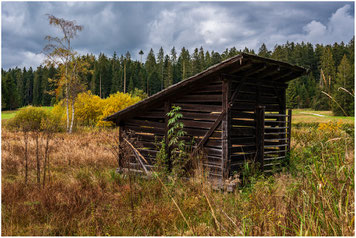 Hochmoor Wachseldornmoos Heimenschwand Buchholterberg