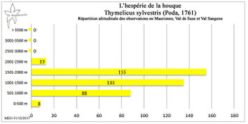 L’hespérie de la houque Thymelicus sylvestris répartition altitudinale