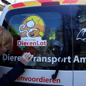 Een kijkje in onze dierenambulance tijdens een gastles