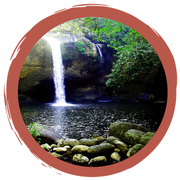 Wasser-Abschluss-Quiz