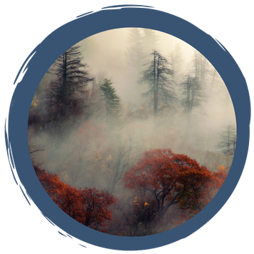 Klima und Wald