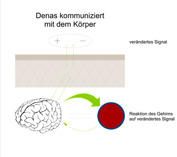 Grafische Darstellung von Reizaufnahme über die Haut, Signalverarbeitung und Rückkopplung im Rahmen der DENAS-Technologie.