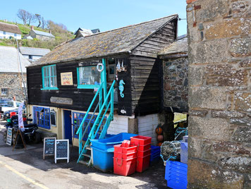 Sehenswürdigkeiten Cadgwith: Ein kleines Haus beim Hafen wird als Verkaufsstand genutzt. Es werden frische Fische aber auch Meeresfrüchte, Krabben und Hummer angeboten.
