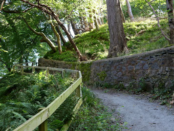 Aberdeen: Donmouth Local Nature Reserve