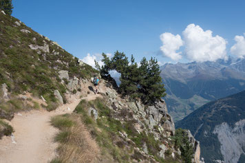 Trient, Aiguille d'Argentière, Aiguille du Chardonnet, Aiguille Verte, Les Drus und Mont Blanc, Aguilles du Tour, Aiguille du Tour, traverse, überschreitung, arête de la table, Südgipfel, Cabane du Trient, la Breya