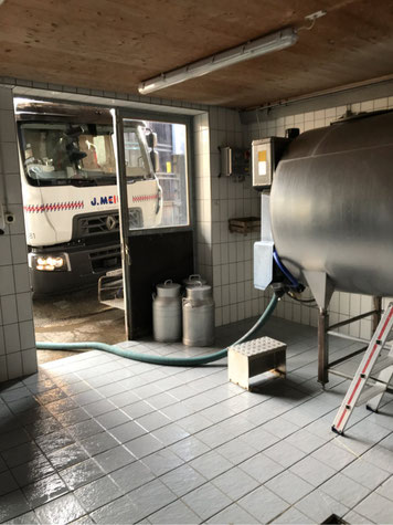 Vom Bauernhof direkt ins Fahrzeug: Milchabholung in Meilen. Bild: Tudor Dialog