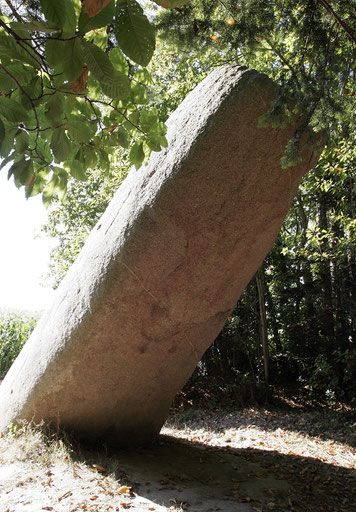 menhir de Saint Samson sur Rance