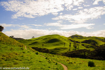 Auf dem Weg zum Wharariki Beach