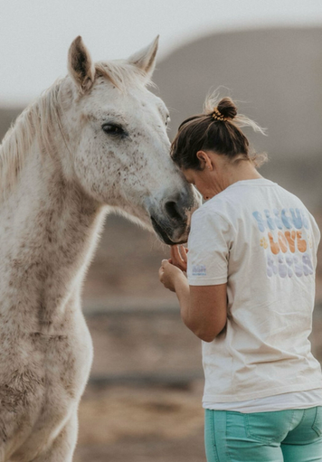 Bodenarbeit mit dem Pferd während eines Yogaretreats bei KaSa Yoga Fuerteventura