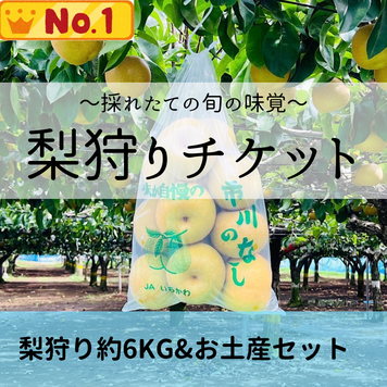 梨の実