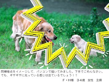 閃輝暗点 自分でできる対策として、代替療法を取り入れる方法。