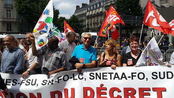 Manifestation 11 juin 2015 PLP contre réforme du collège SNETAA FO Martine PROU secrétaire académique SNETAA-FO Versailles SNFOLC Jacques Paris 