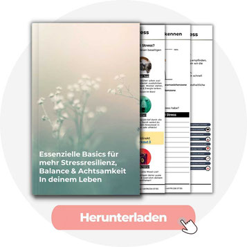 E-Book Stressresilienz