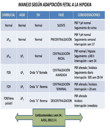 Tabla 3. Manejo segun adaptacion fetal a la hipoxia