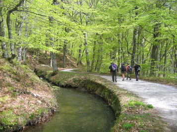 Randonnée le long de la Rigole de Riquet