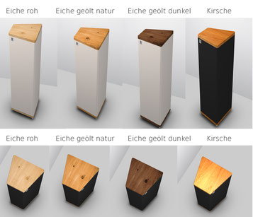 Rowen Aktiv oder Passiv S12, S10, Bipol, Lautsprecher