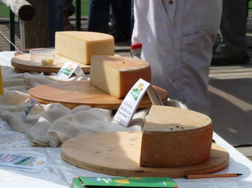 Wer hat's erfunden? - Cheese-Tasting