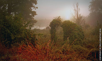 Exponattitel: The Land of Mist Witch No. II - Exponatgrößen: 19 x 30 - Art: fineART - © by Pelz Kreativ 2019