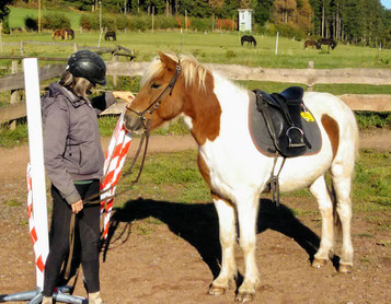 My trainer Johanna Tryggvason helps with editing the book on training Helgi