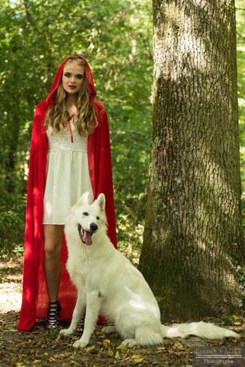 chaperon rouge berger blanc suisse chien blanc shooting photo foret