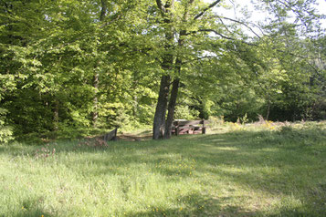 Rastplatz am Eschkopf