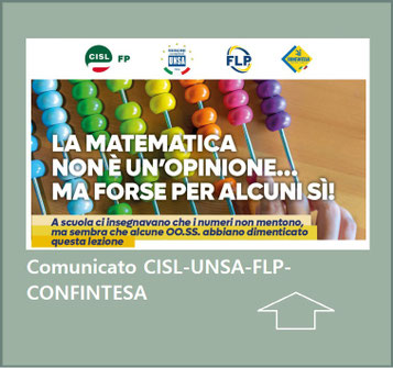 immagine e link al sito di confsalunsa