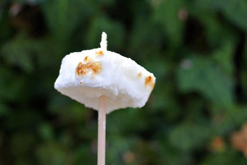 Marshmallow gegrillt