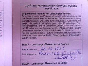 Lindas Ergänzung im Pass